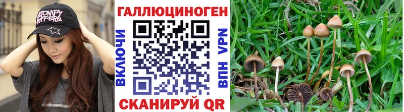нарко площадка Telegram  Новый Оскол  Галлюциногенные грибы мицелий 
